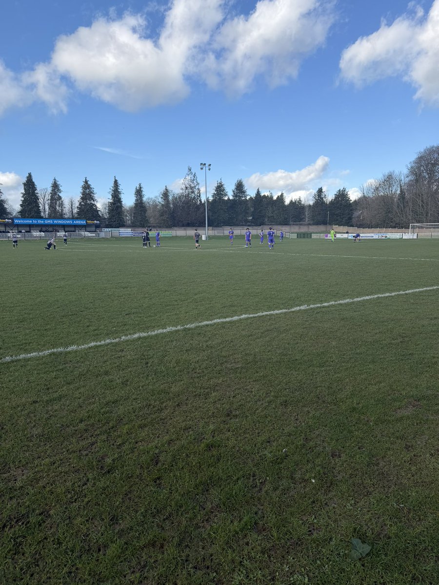 Shepps 🐝 tweet media