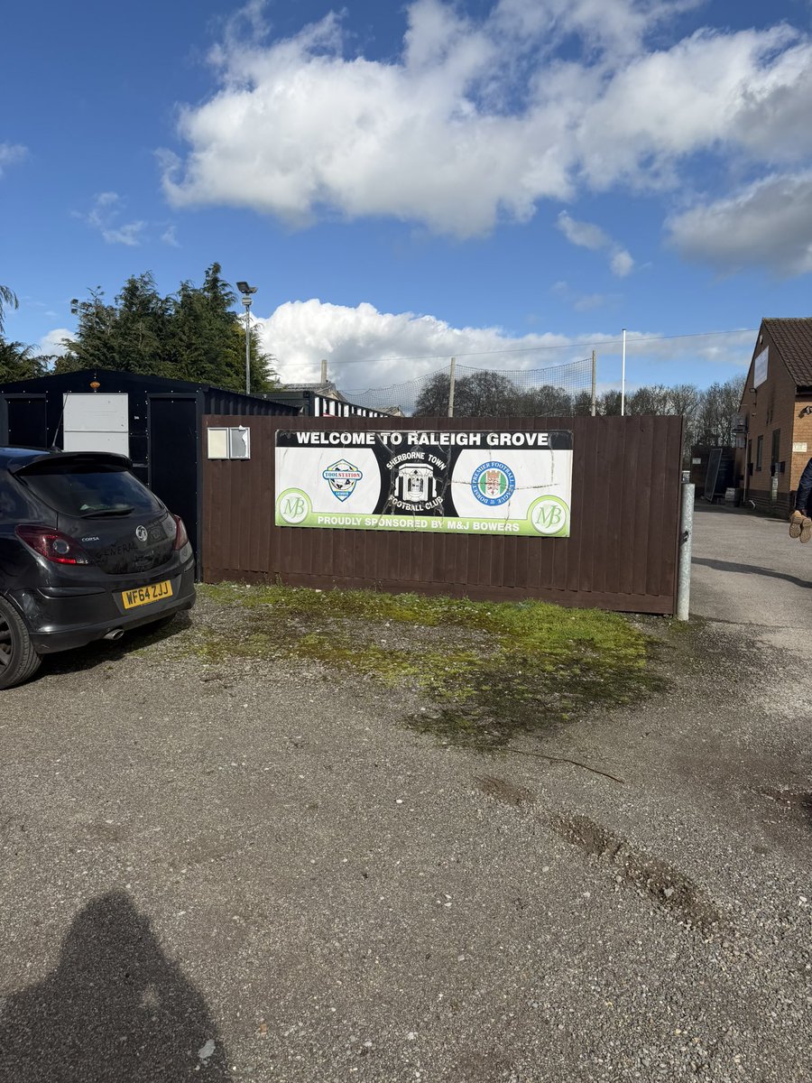 Shepps 🐝 tweet media