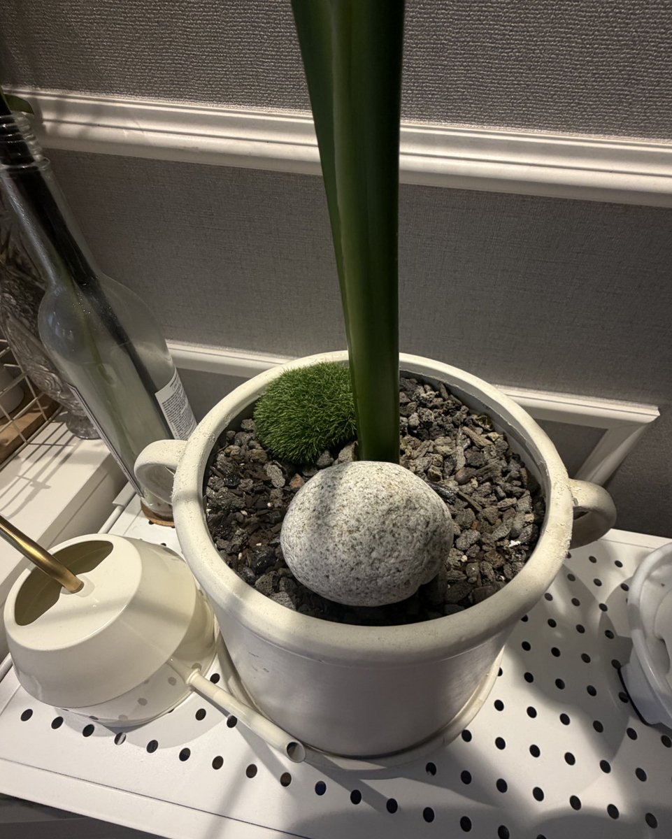 fuk0uro's tweet image. #Bye,