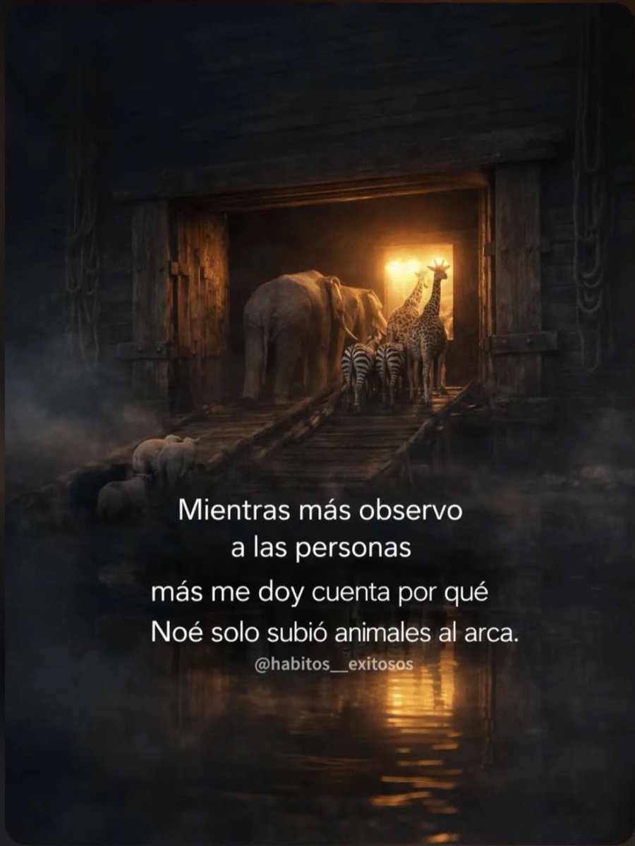 Xavier Budó tweet media