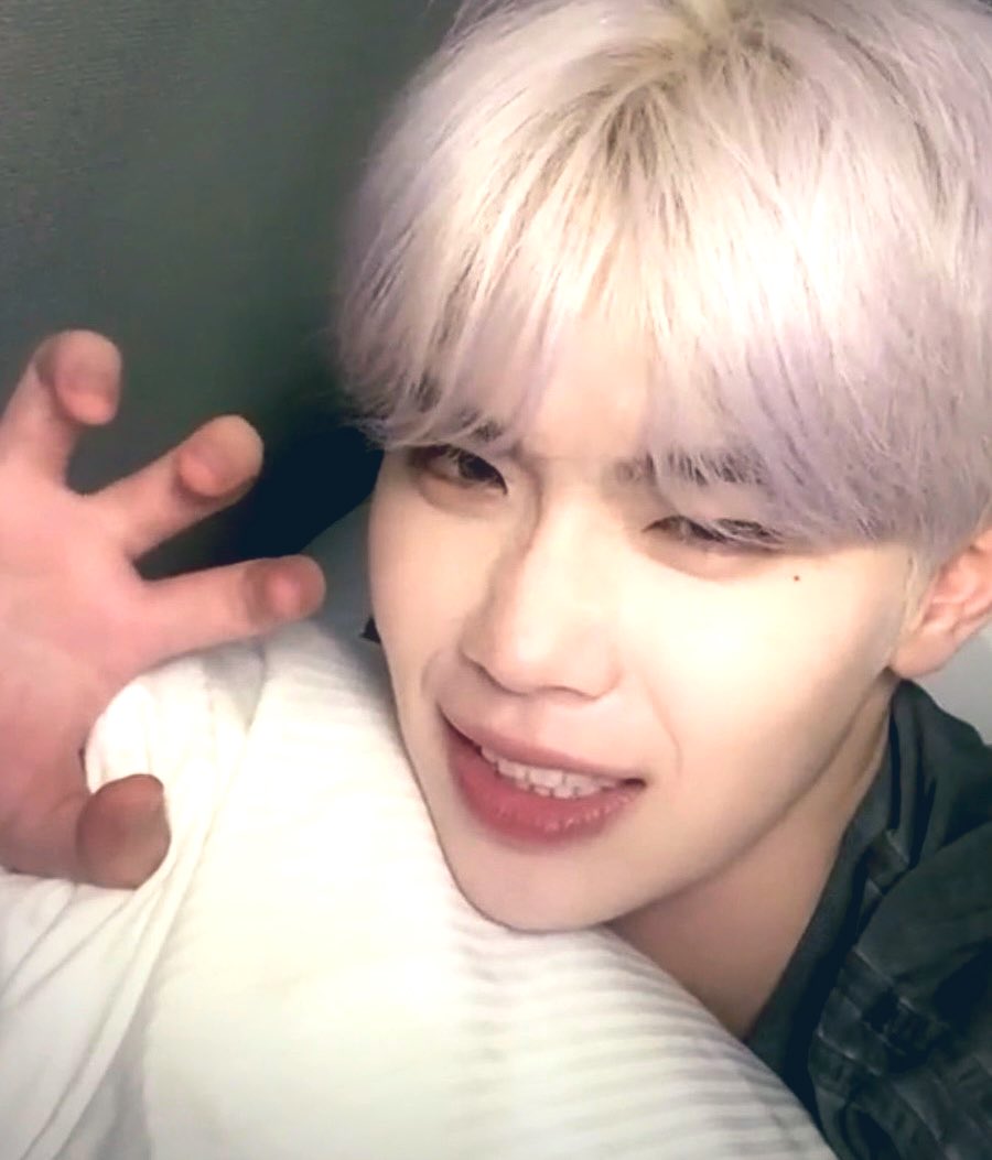 rwealrwicky's tweet photo. might i suggest u dont do that to my taerae 🐾

#zrsd #zeroseselcaday #taerae #tarae https://t.co/FmljxYP3L1