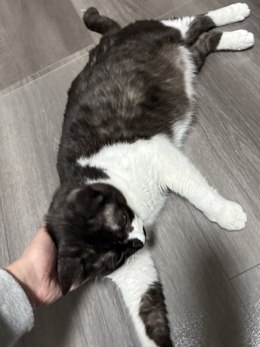 むちむちに育てすぎた