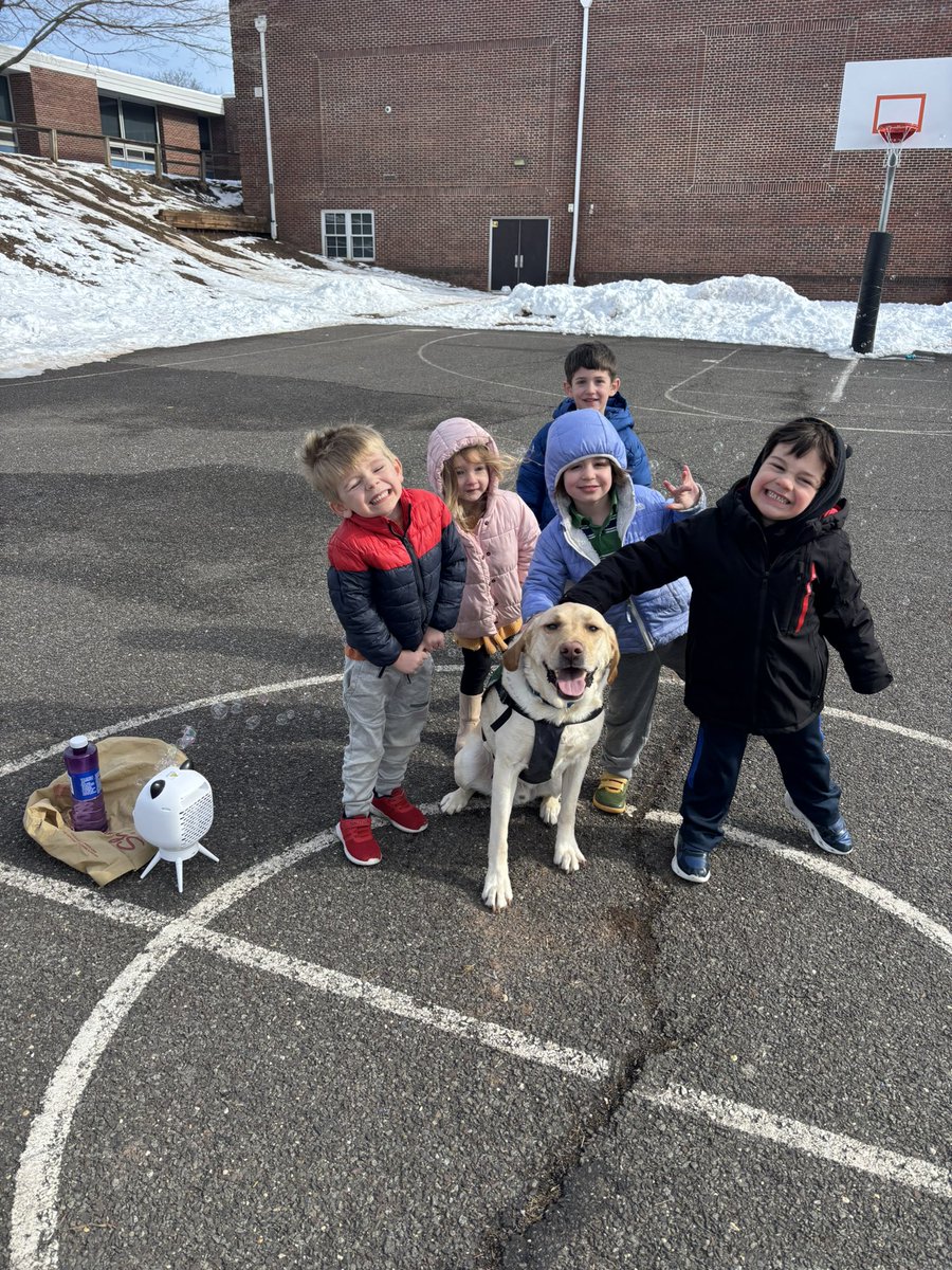 Brenda Pfau tweet media