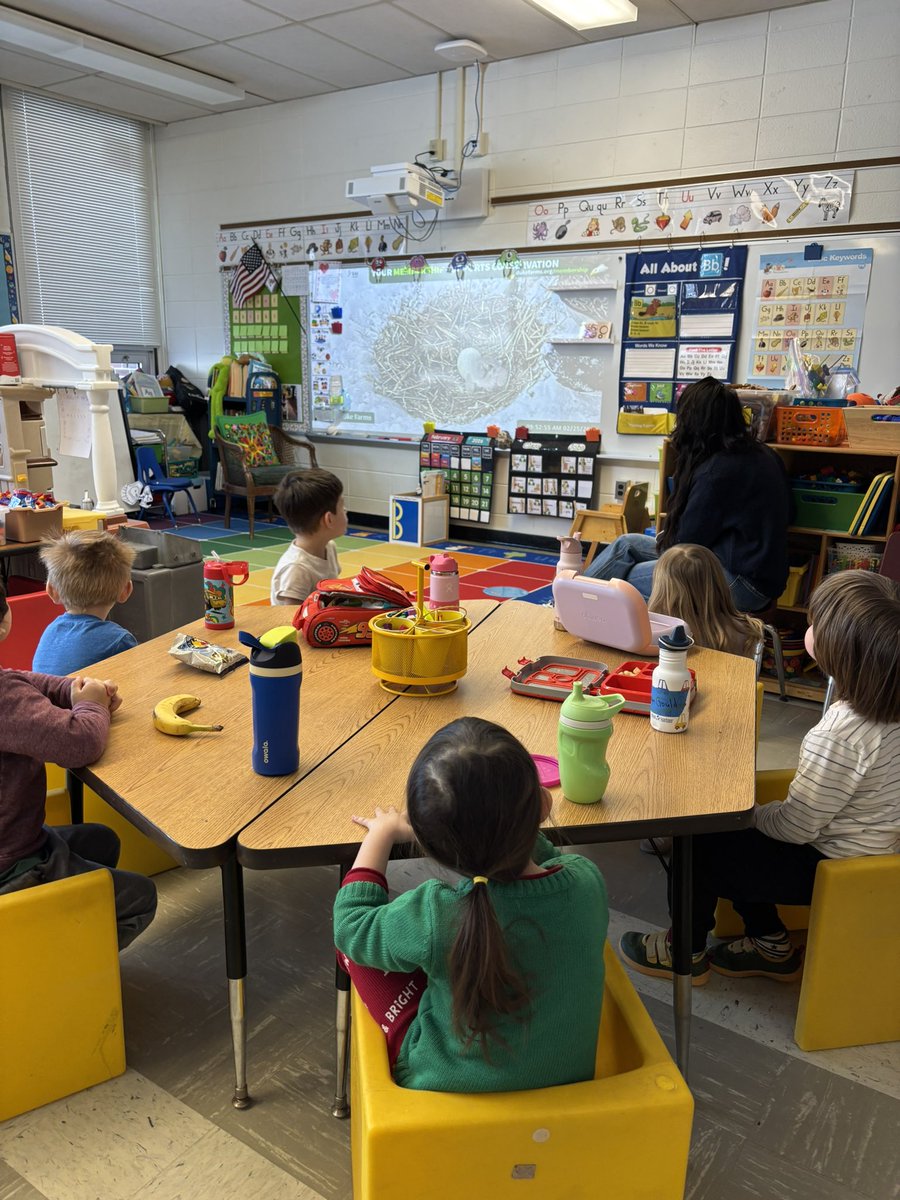 Brenda Pfau tweet media