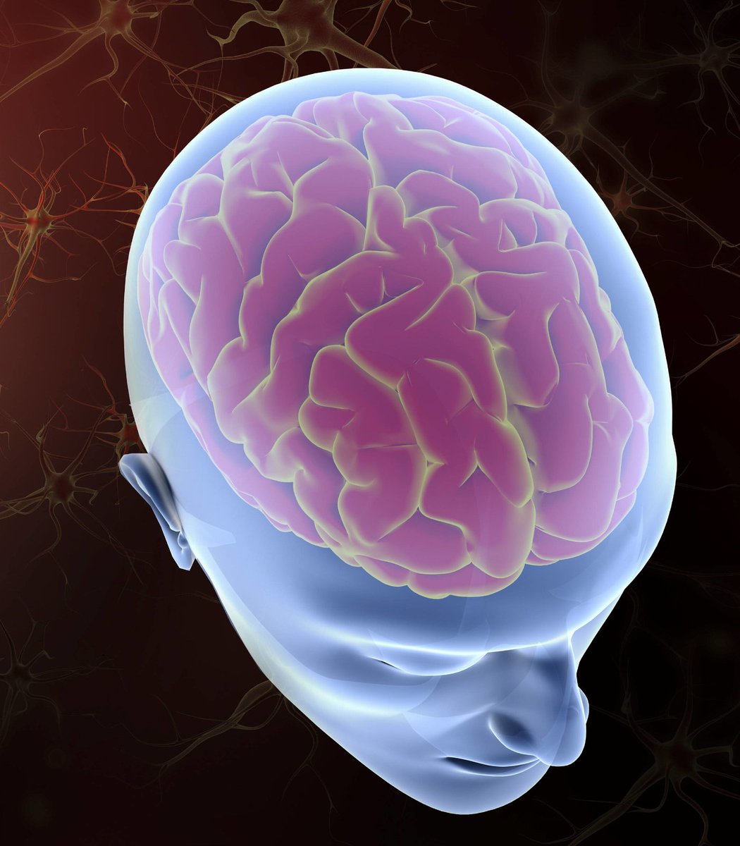 pubity's tweet photo. Researchers have discovered that "brain rot" may be real, and short form content is the cause.

Dozens of studies have confirmed excessive consumption of short form video can cause anxiety, depression, poor cognition and loneliness. https://t.co/JTQXEMU8zw