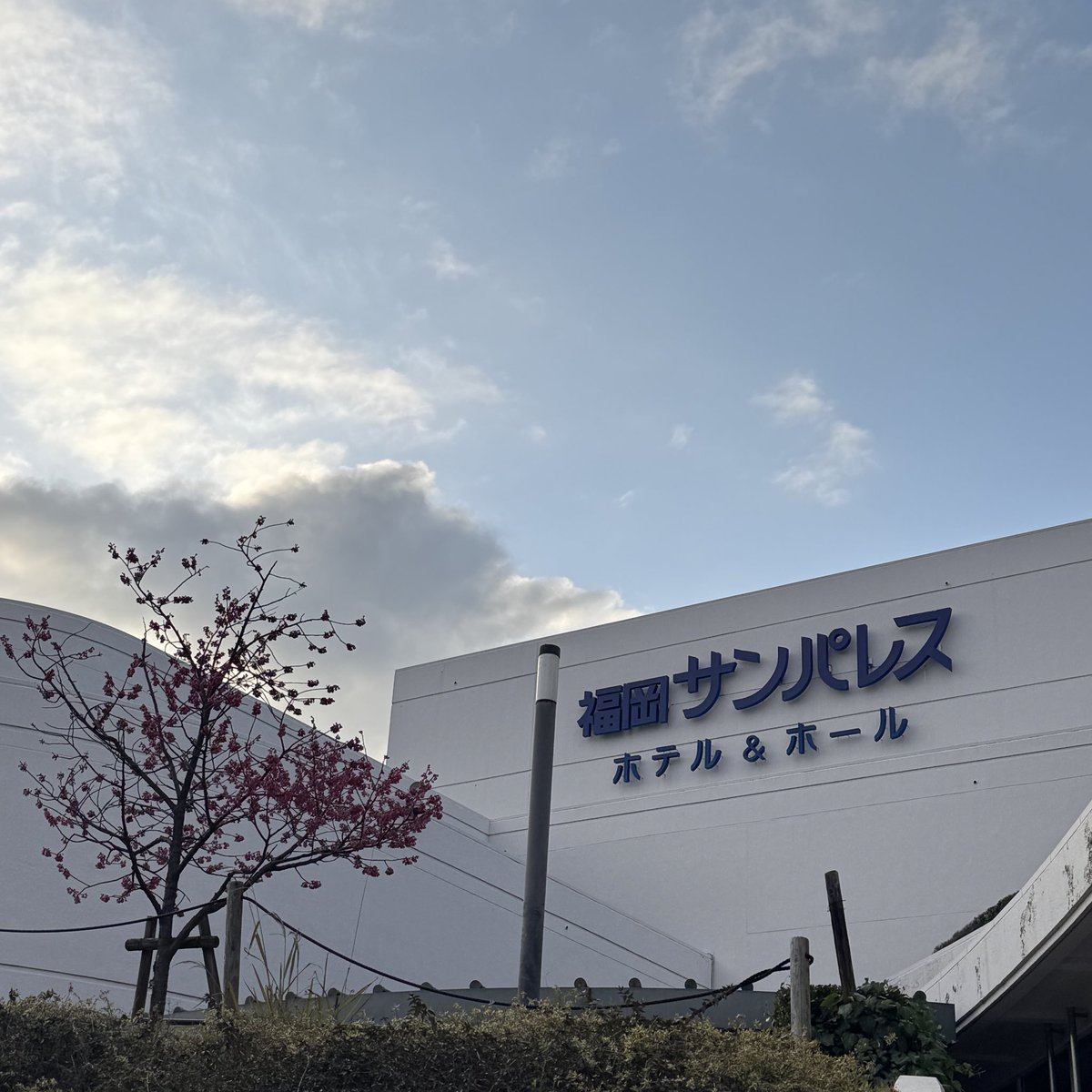 LLP20振り2回目の福岡サンパレス☺️
やっぱり福岡はとても素敵な場所です🌸
そして、「離合」という言葉を知りました！

#LLP25