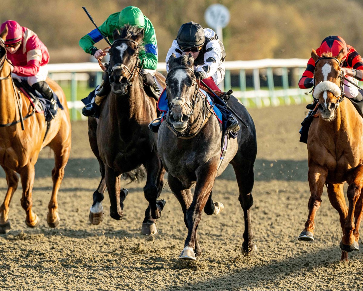 Lingfield Park tweet media