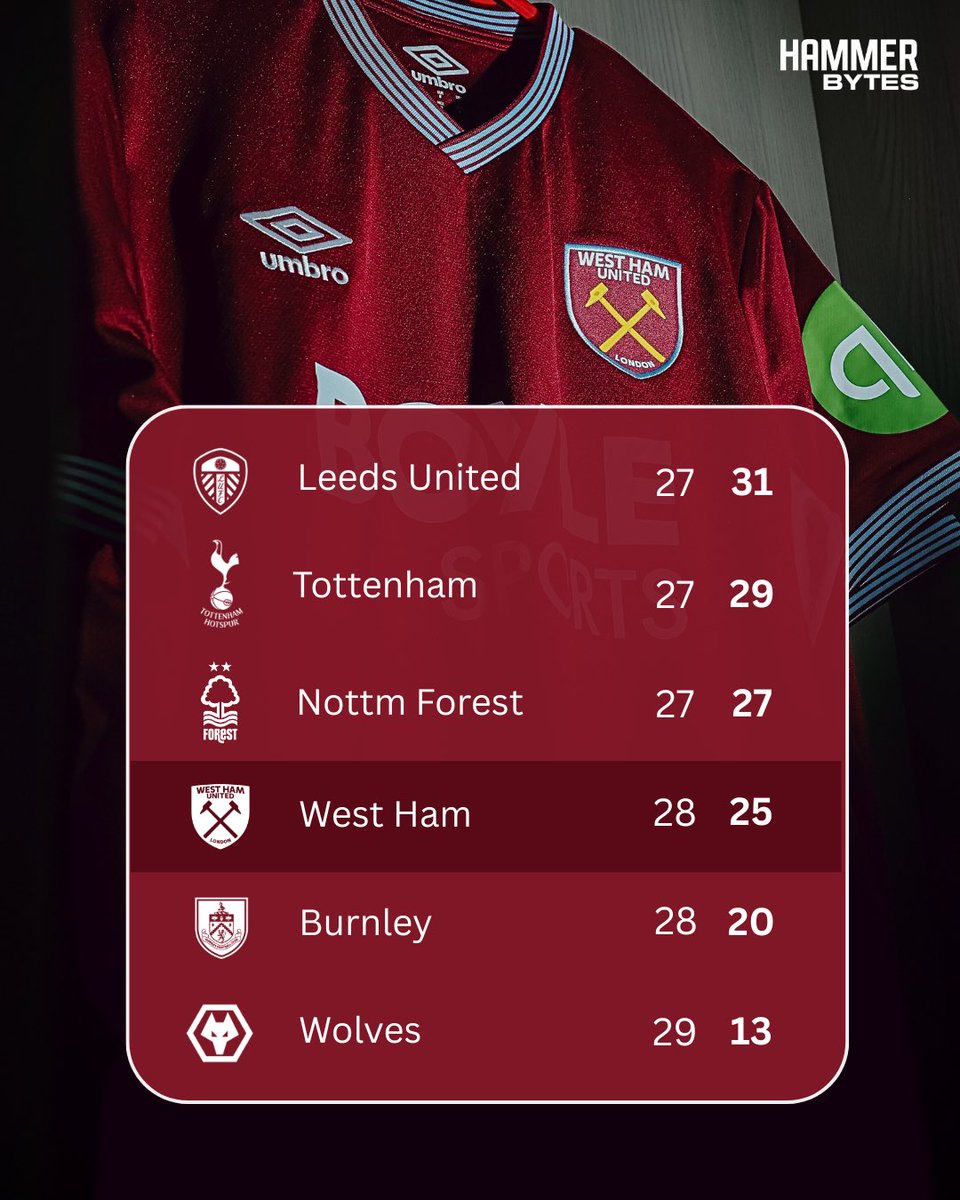 Hammer Bytes tweet media