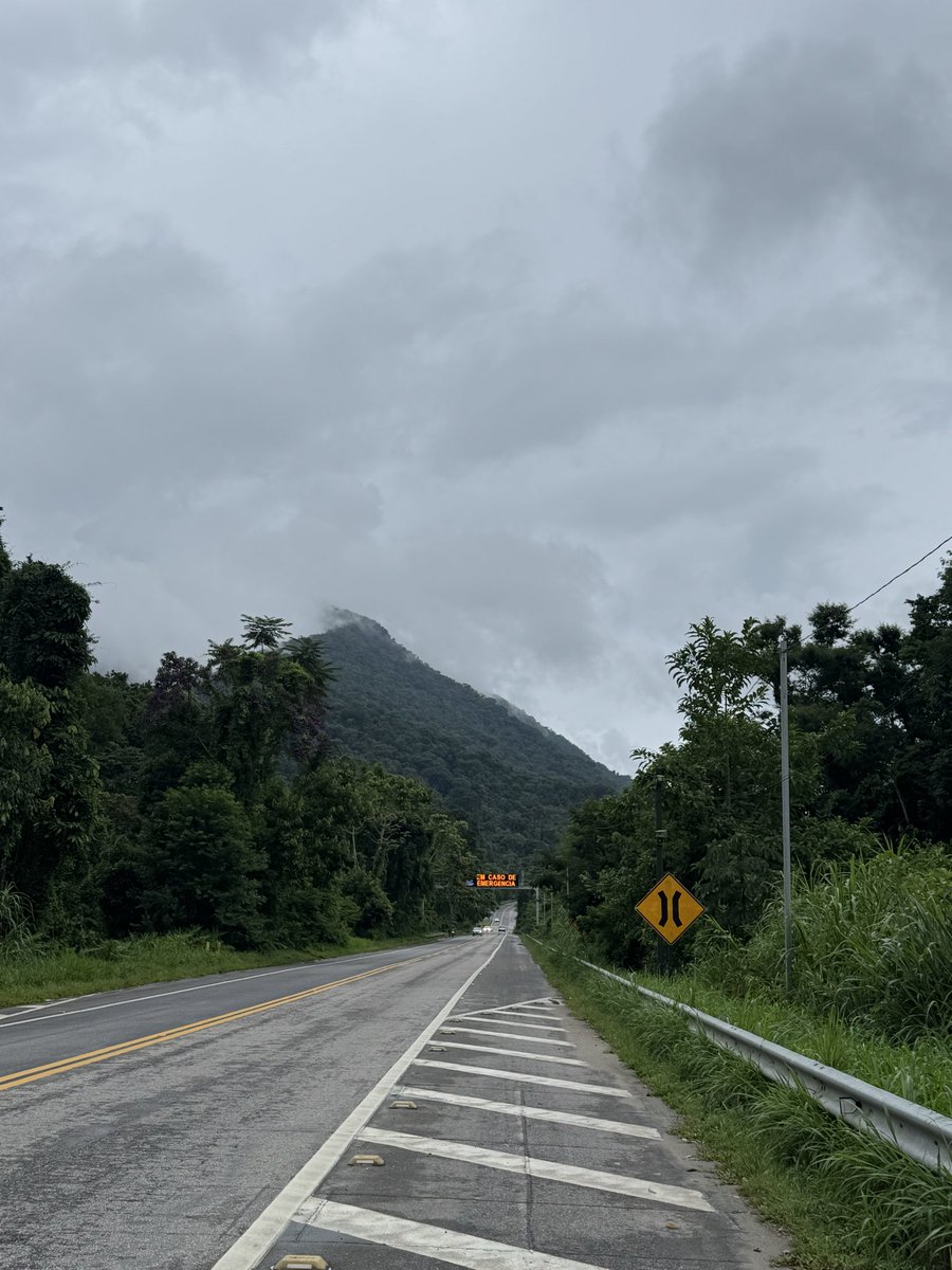 Trader Alejito tweet media