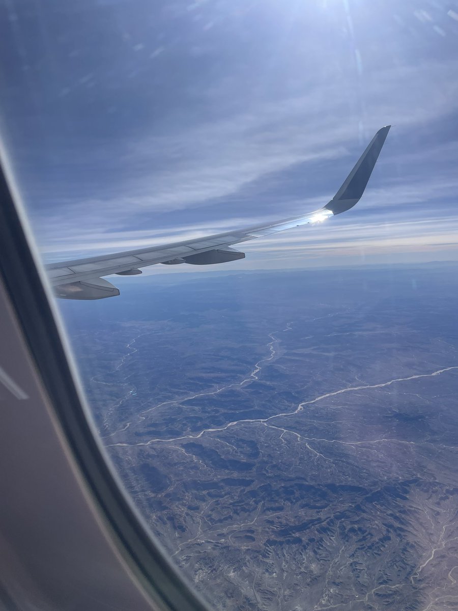 stephanie KAP🦁 tweet media