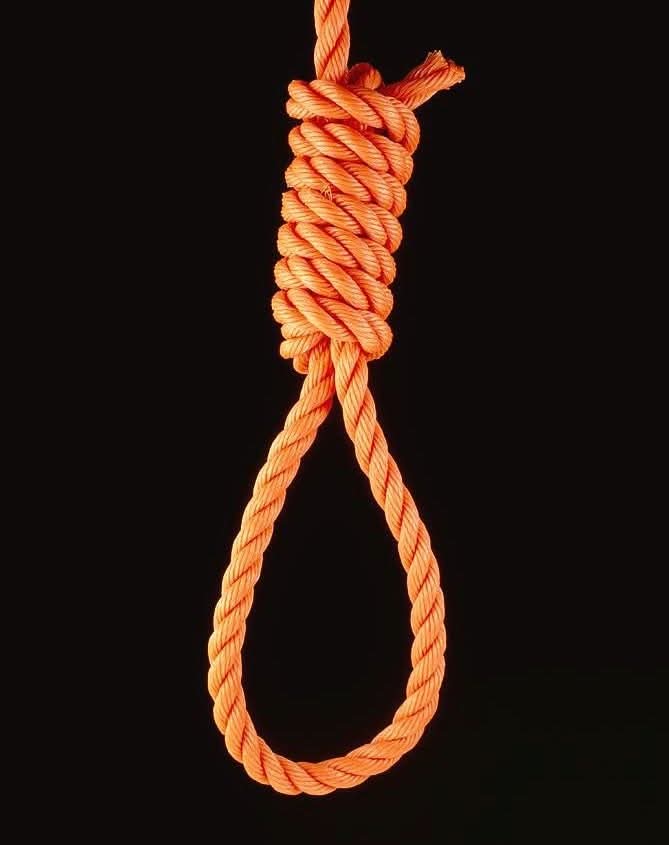 🚨BREAKING: Rep. Tim Burchett calls to hang all child predators.

Do you agree with him?