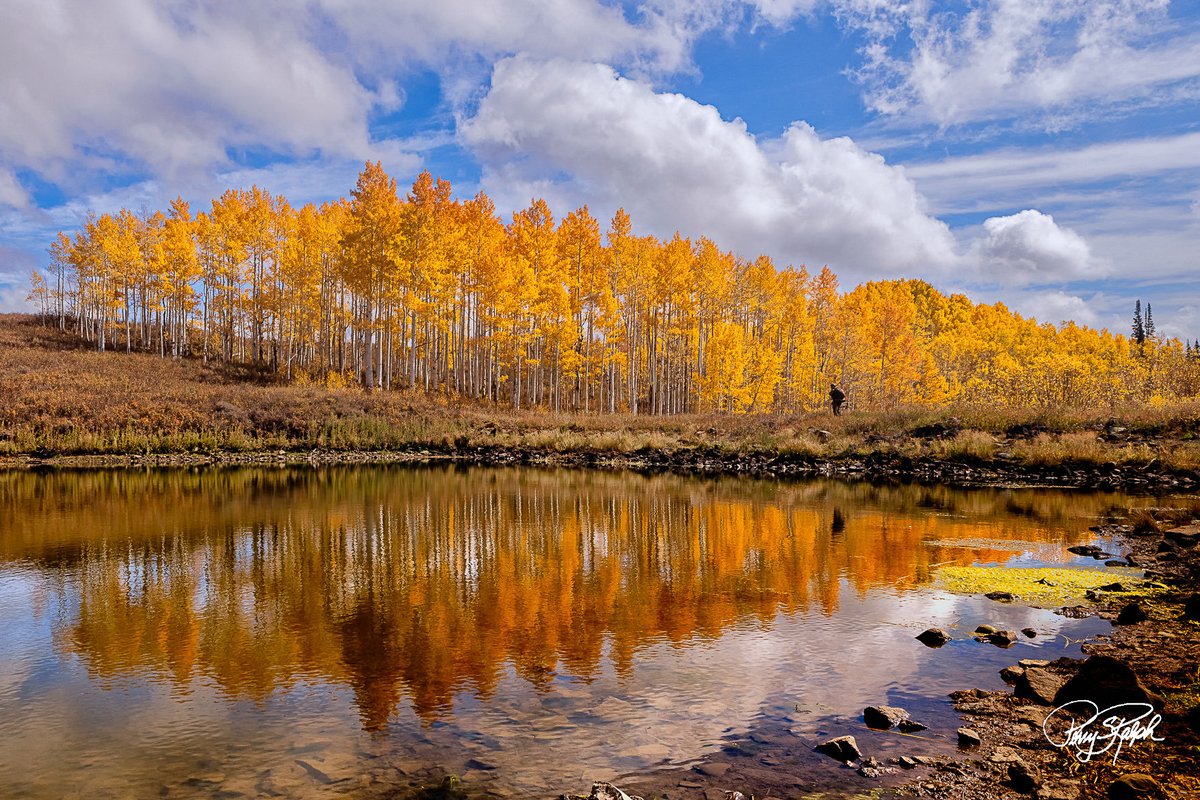 perryralph's tweet photo. QP Share a Reflection #Reflection
“Going Hunting”
A reflection is only as good as what’s in it. Don’t cut off the subject and in this case include the sky and the bow hunter for maximum impact. Muddy Pass near #RabbitEars #AspenTree changing yellow for the #FallColor #Photography