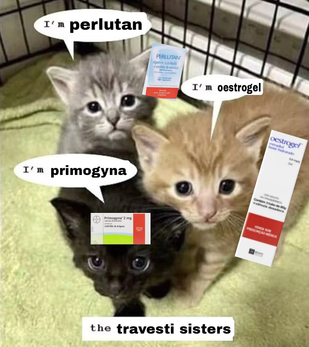 sonhei que estavam distribuindo diane 35 de graça nos banheiros da *****, fiquei louca e peguei tudo