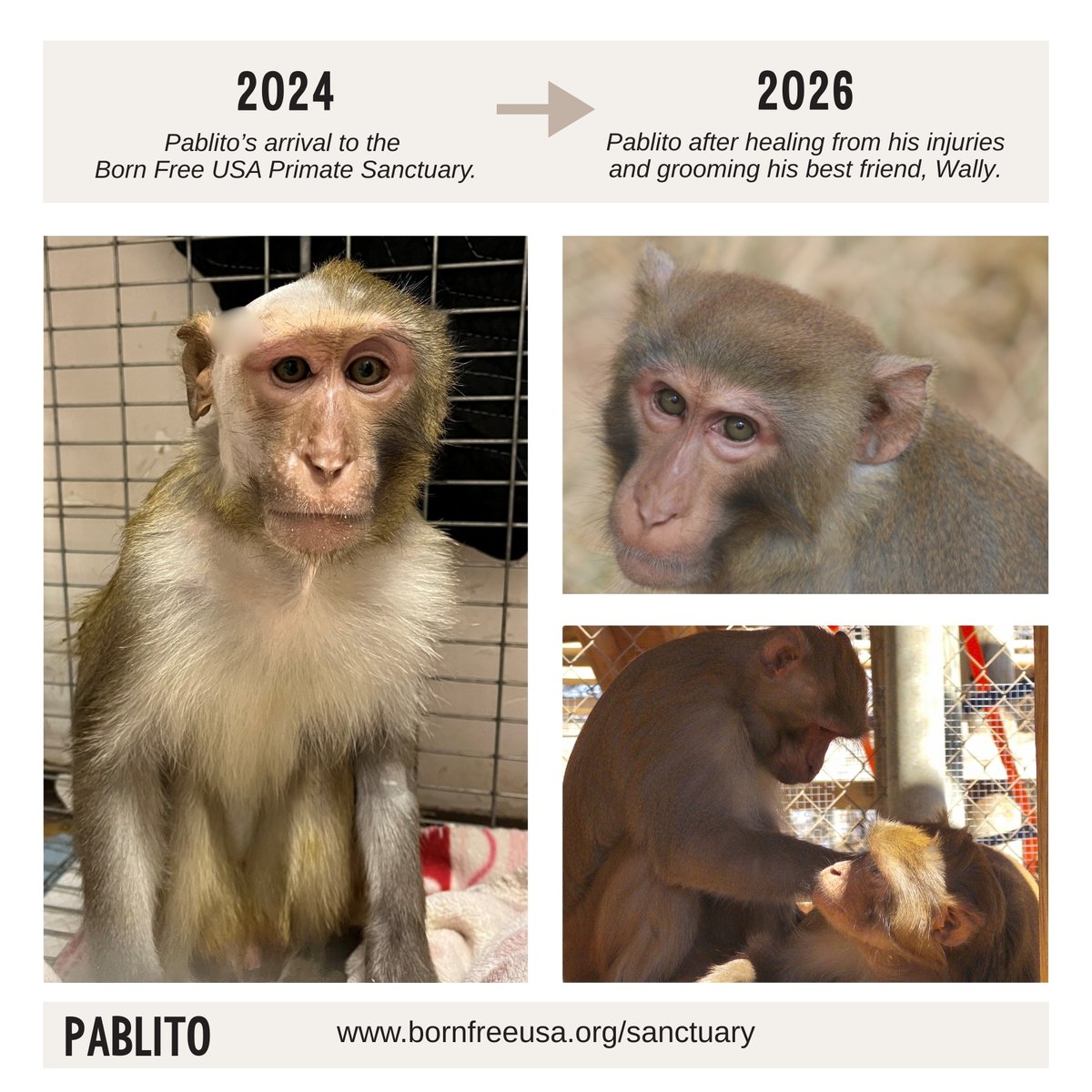 Born Free USA tweet media