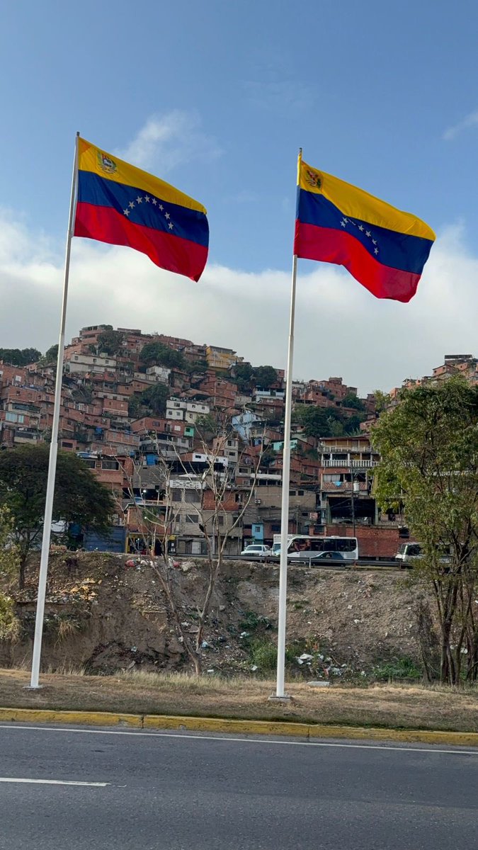 cecilia núñez tweet media