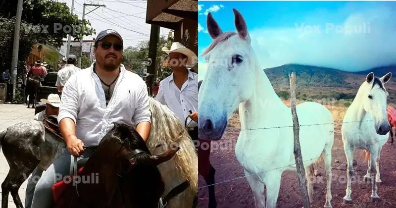 TheSenator tweet media