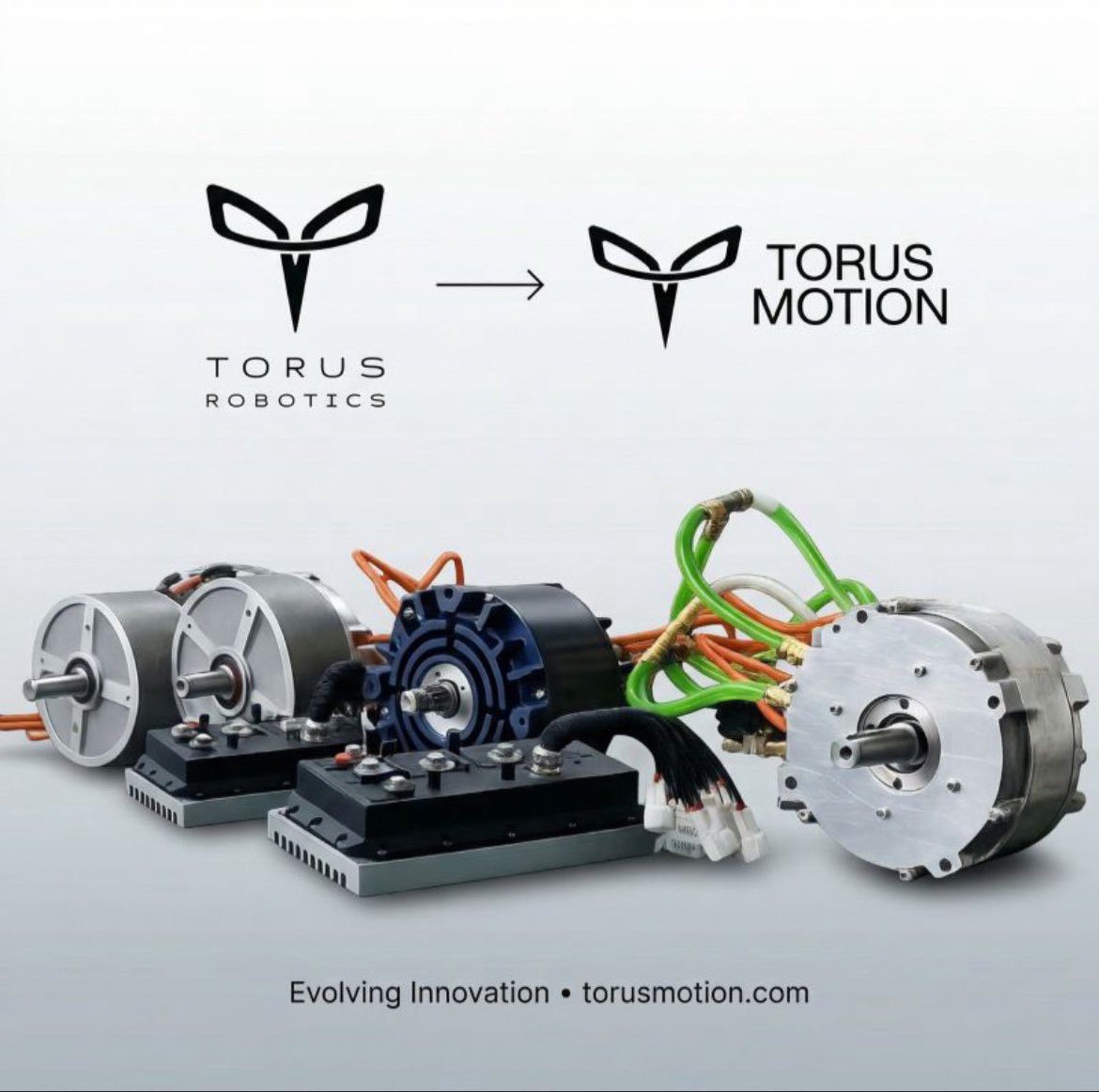 Torus Motion tweet media