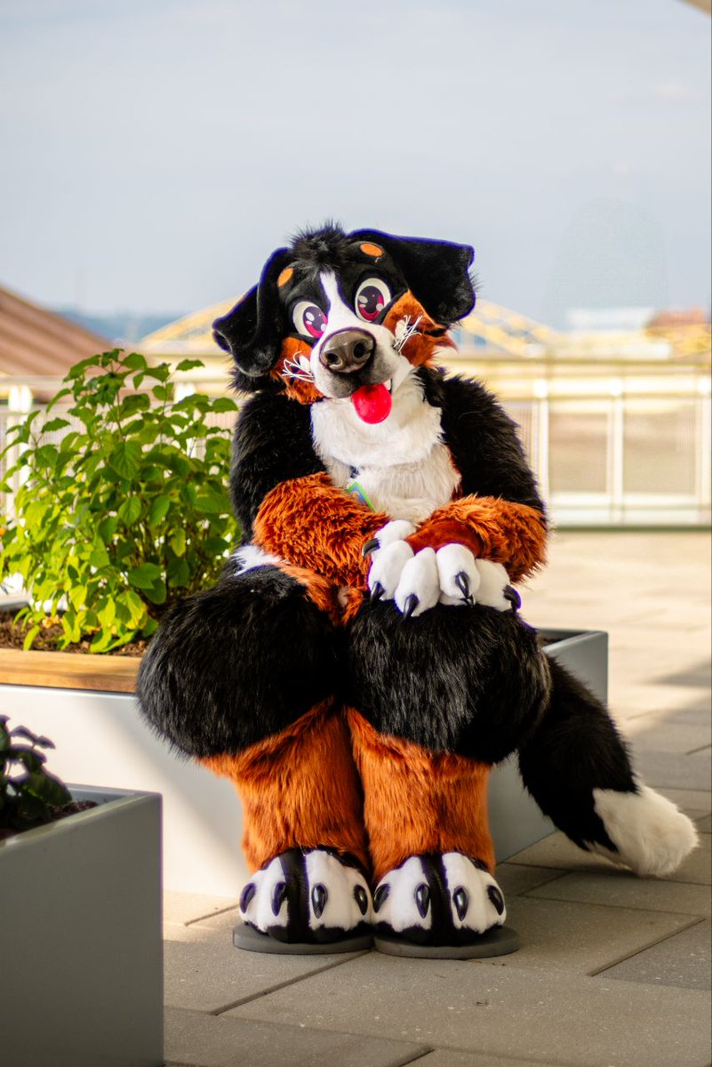 July @ TFF tweet media