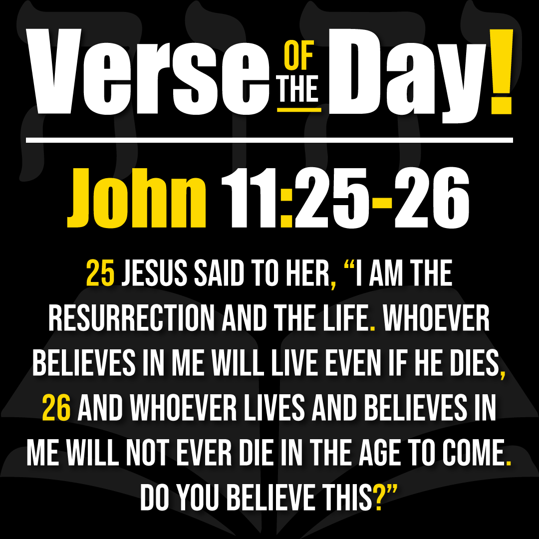 💥MaximumSuspense💥 tweet media