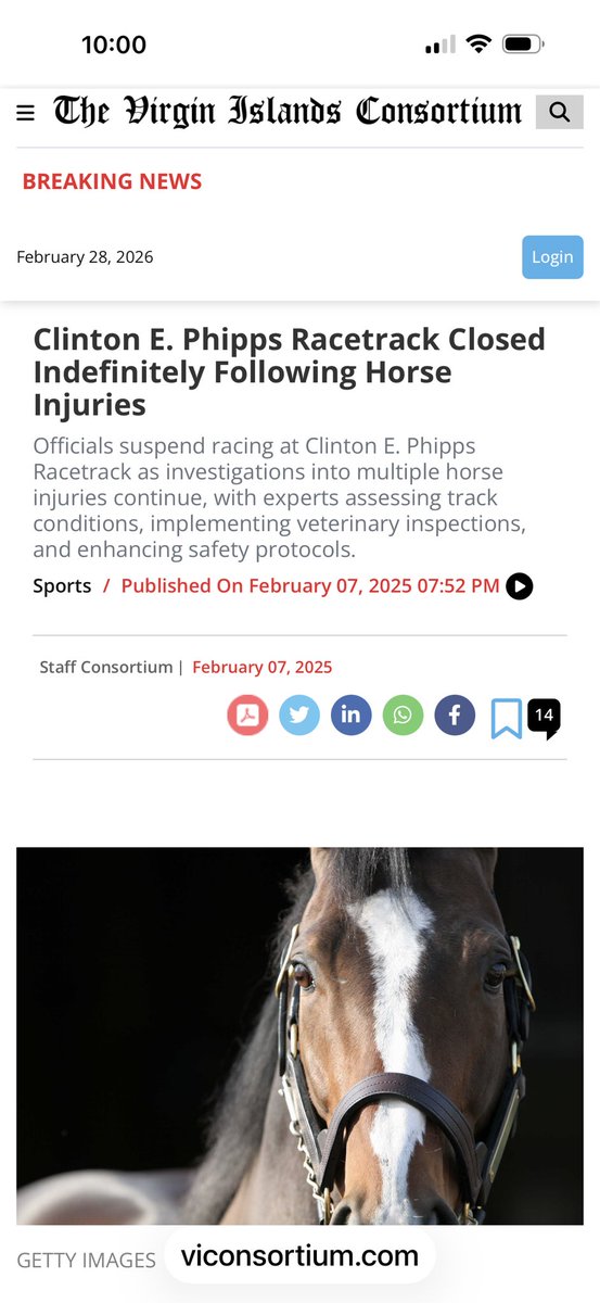 maggi moss tweet media