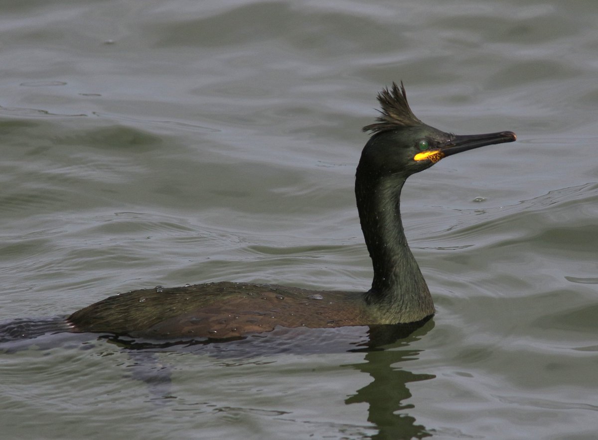 David dack tweet media