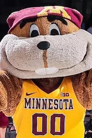 GopherHole.com tweet media