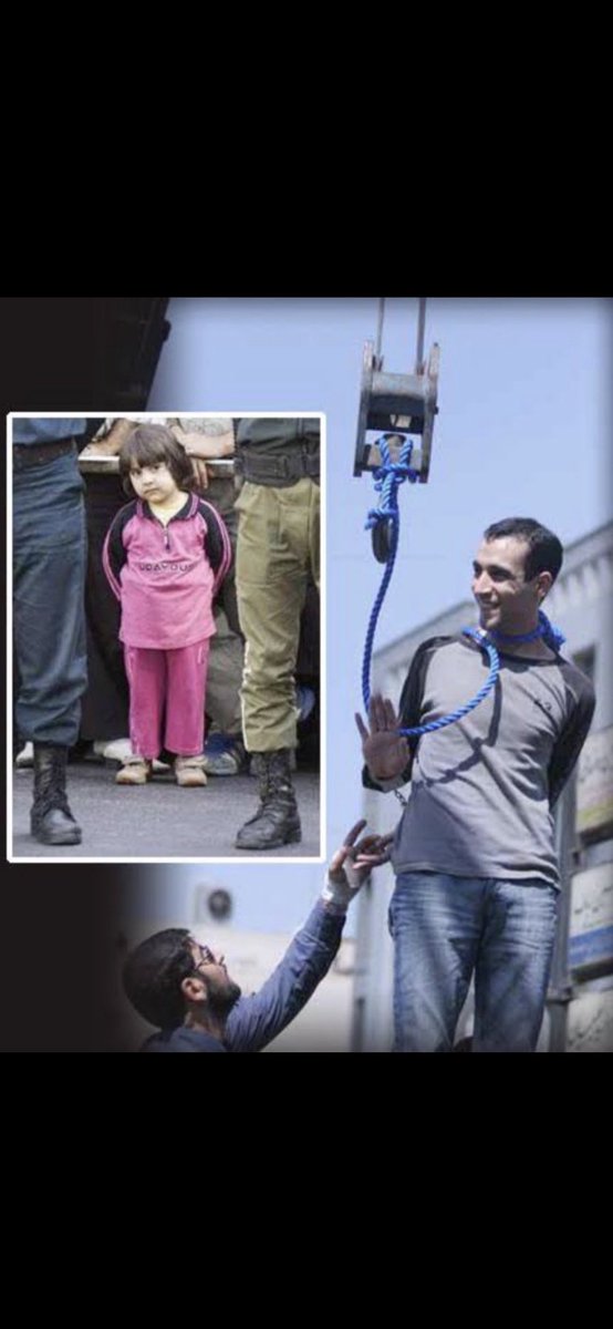 Av. Brahim tweet media