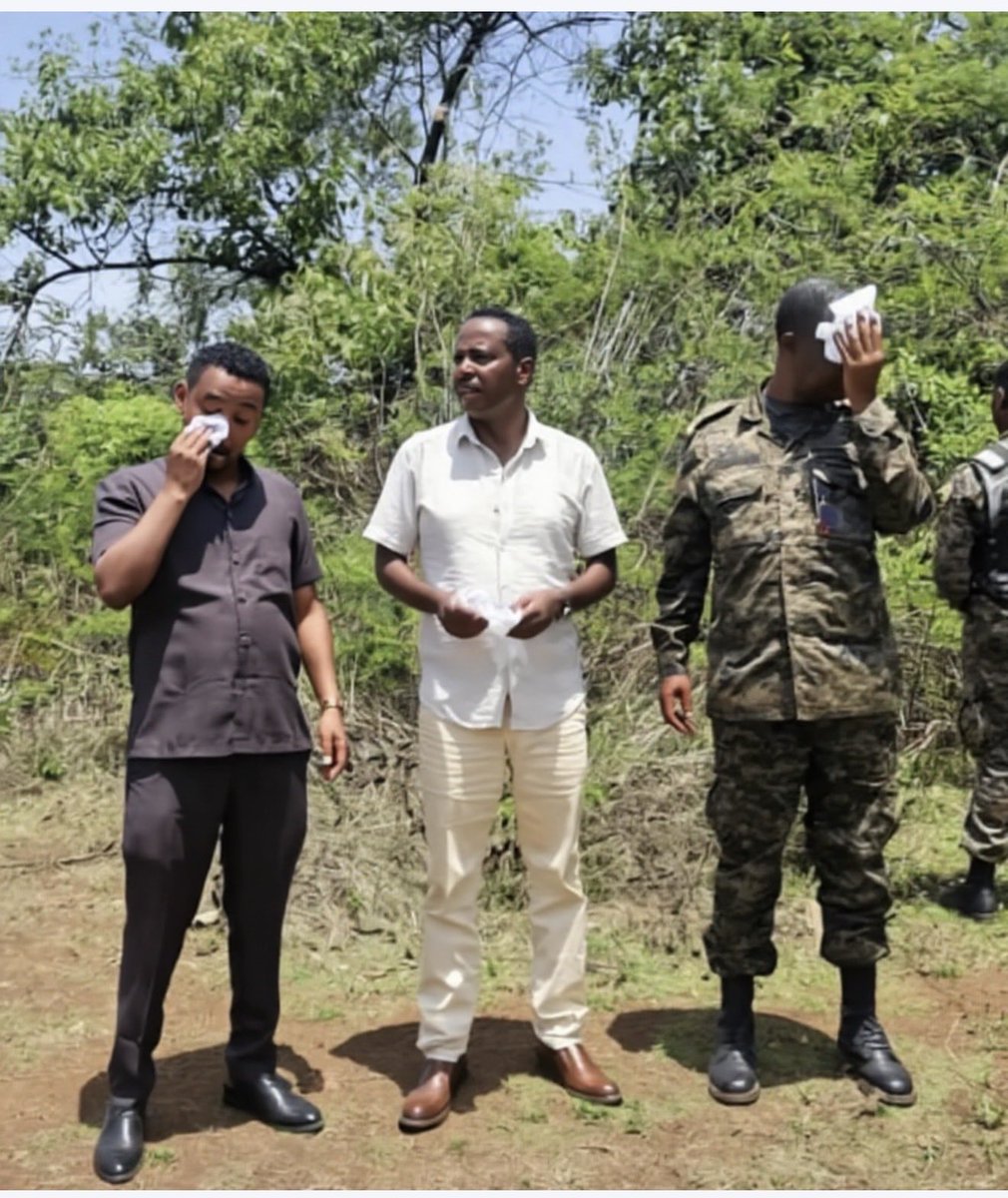 GetuMilki's tweet photo. ላብ ደም ያድናል።
Lubbuu Waraana ykn Loltuu dafqaan tikfama.
Suurri kun Godina Wallagga Bahaa Aanaa saasiggaa bakkii adda Loomicaa deemsa km=15 ol kunis bara isaa keessatti seenaadha. https://t.co/lc65ID4lFt