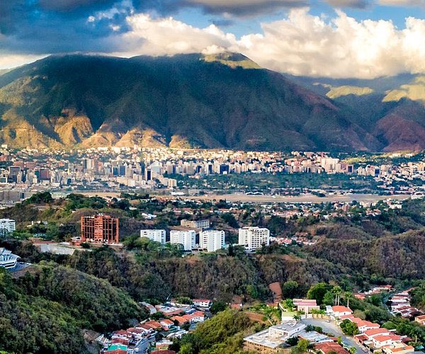 cecilia núñez tweet media