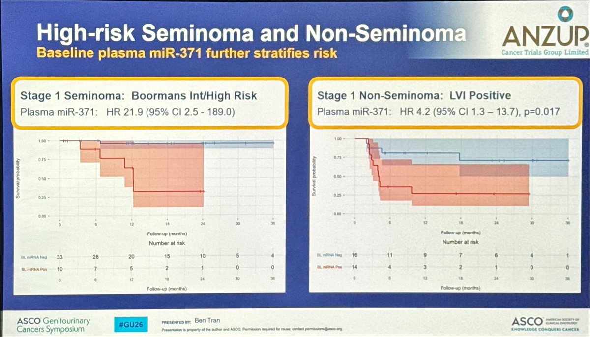 Álvaro Pinto tweet media