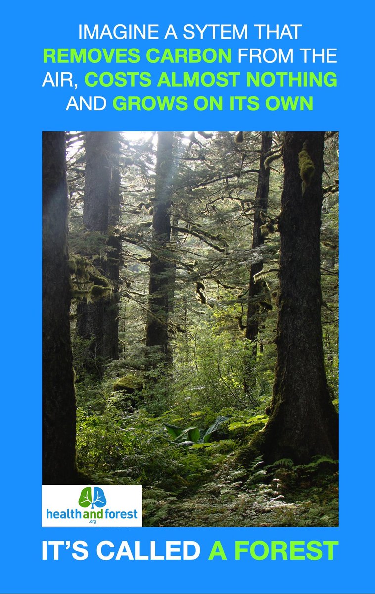 healthandforest's tweet photo. Our article for the weekend.
Climate neutrality by 2050?
The EU certification system for carbon removal is a fake.
Accounting sleight of hand, subsidies &amp; forests that are legally classified as waste to be burnt…
#holzofengate #woodgate #BECCS #DACCS
👇🏽
https://t.co/2PhAPNrbGy https://t.co/wZC6VjAx4p