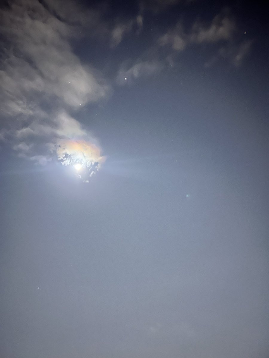 high_byte tweet media