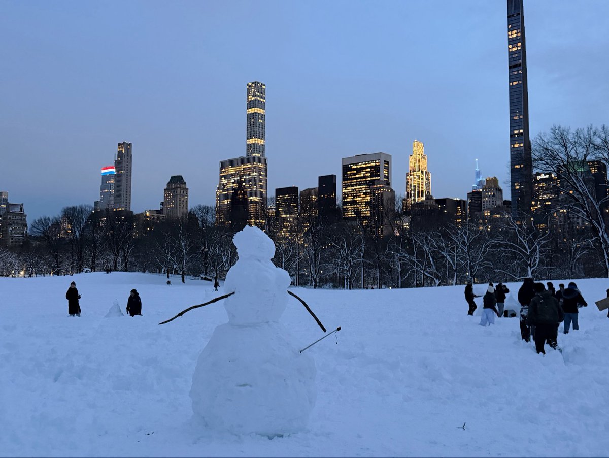 Central Park, 9 months apart

May 2025           vs               February 2026