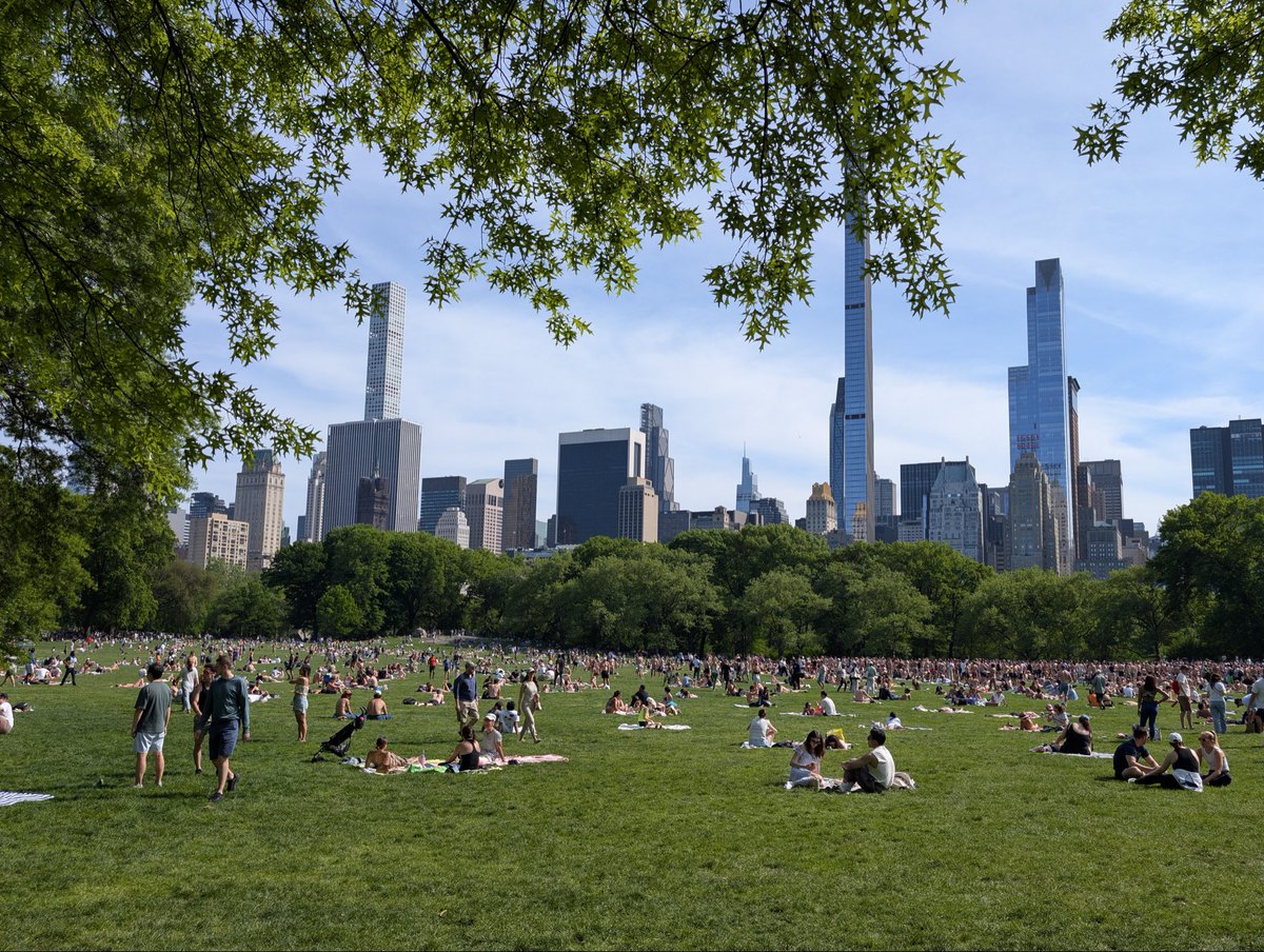 SarahYanezR's tweet photo. Central Park, 9 months apart

May 2025           vs               February 2026 https://t.co/lCIeOnVAhE