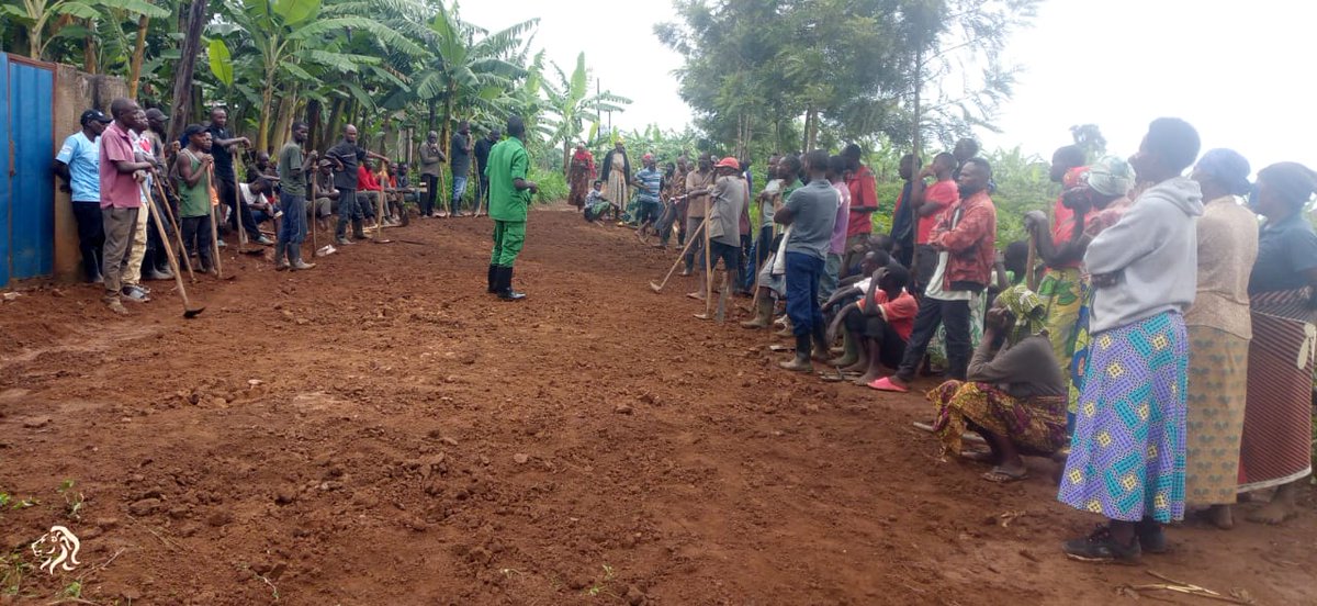 Rukara Sector tweet media