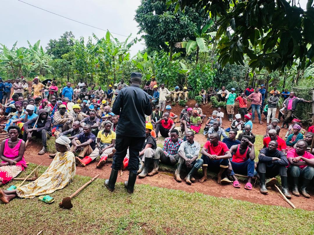 Rukara Sector tweet media