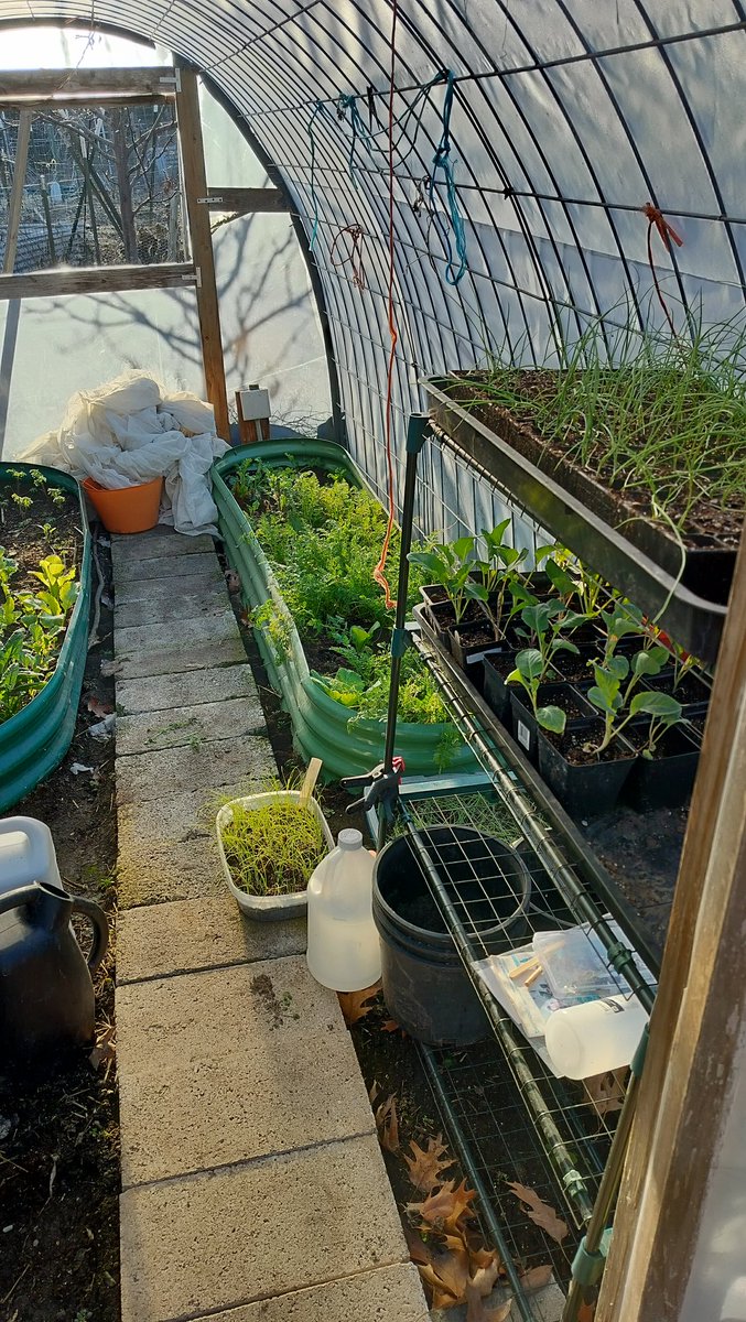 Ewin Barnett tweet media