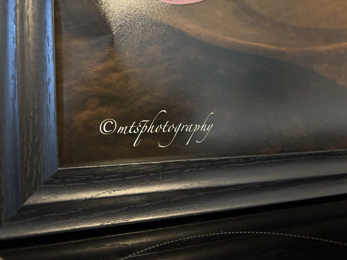 Brian dunne tweet media