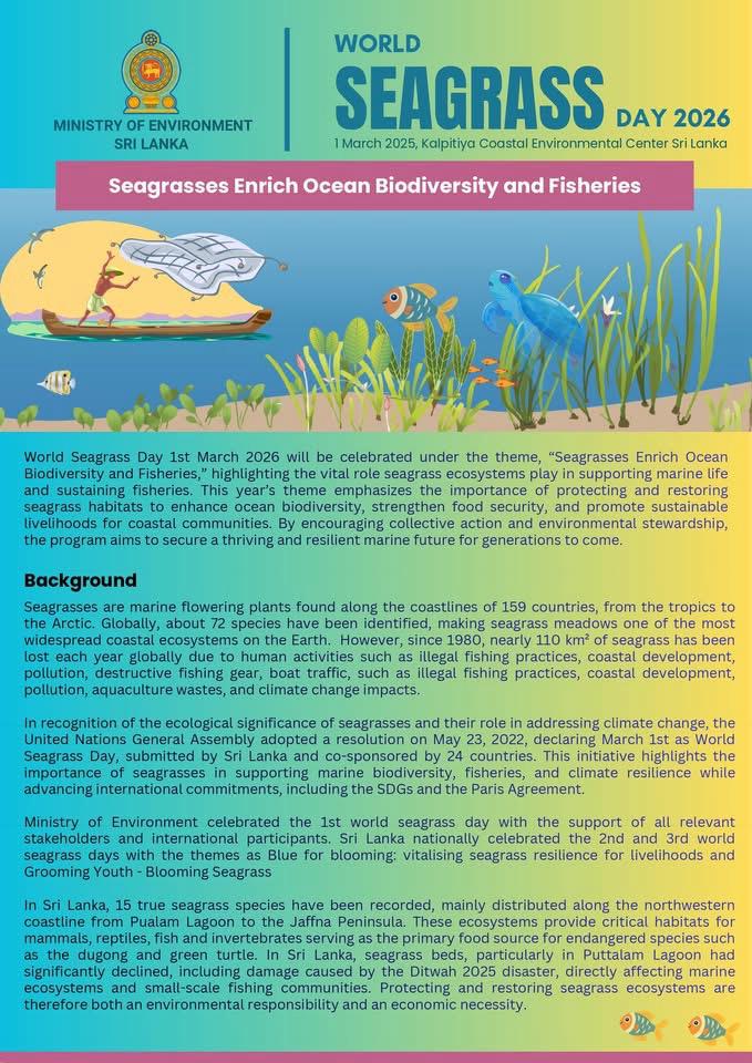 SLinIndonesia's tweet photo. We are proud that Sri Lanka celebrates the 4th World Seagrass Day today (1 March) at the Coastal Environmental Centre, Kalpitiya under the theme “Seagrasses Enrich Ocean Biodiversity and Fisheries.” https://t.co/DfgnK5He2c