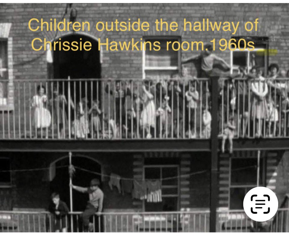 MontoHistory tweet media