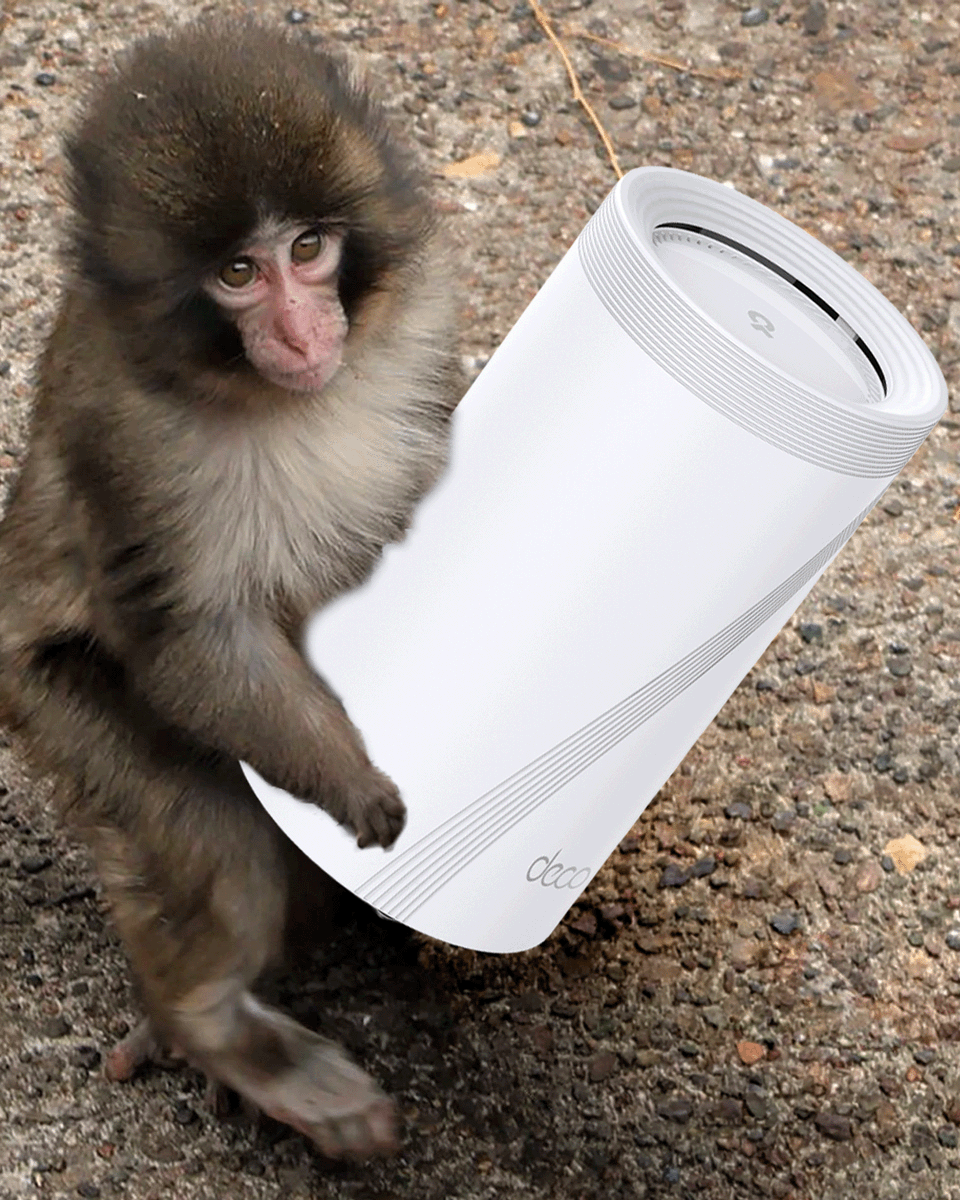 TP-Link Systems Inc. tweet media