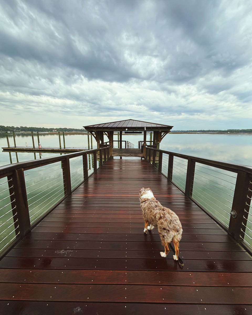 Life is better on the dock with your best friend. 🐶

Where is your dog's favorite area to explore in Bluffton? Let us know in the comments.

Explore Bluffton here: bit.ly/3MJOQAX

📷 IG: madelinecoxcreative