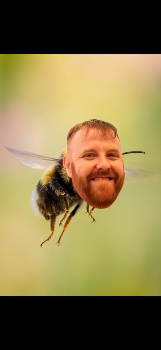 Jacksheppardcozens tweet media