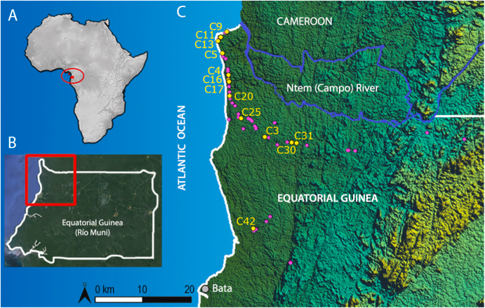 Roberto Sáez tweet media