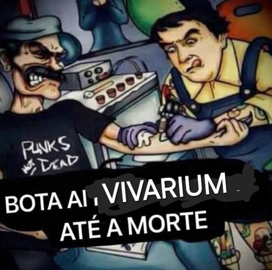 波南 イルカ 💙 tweet media