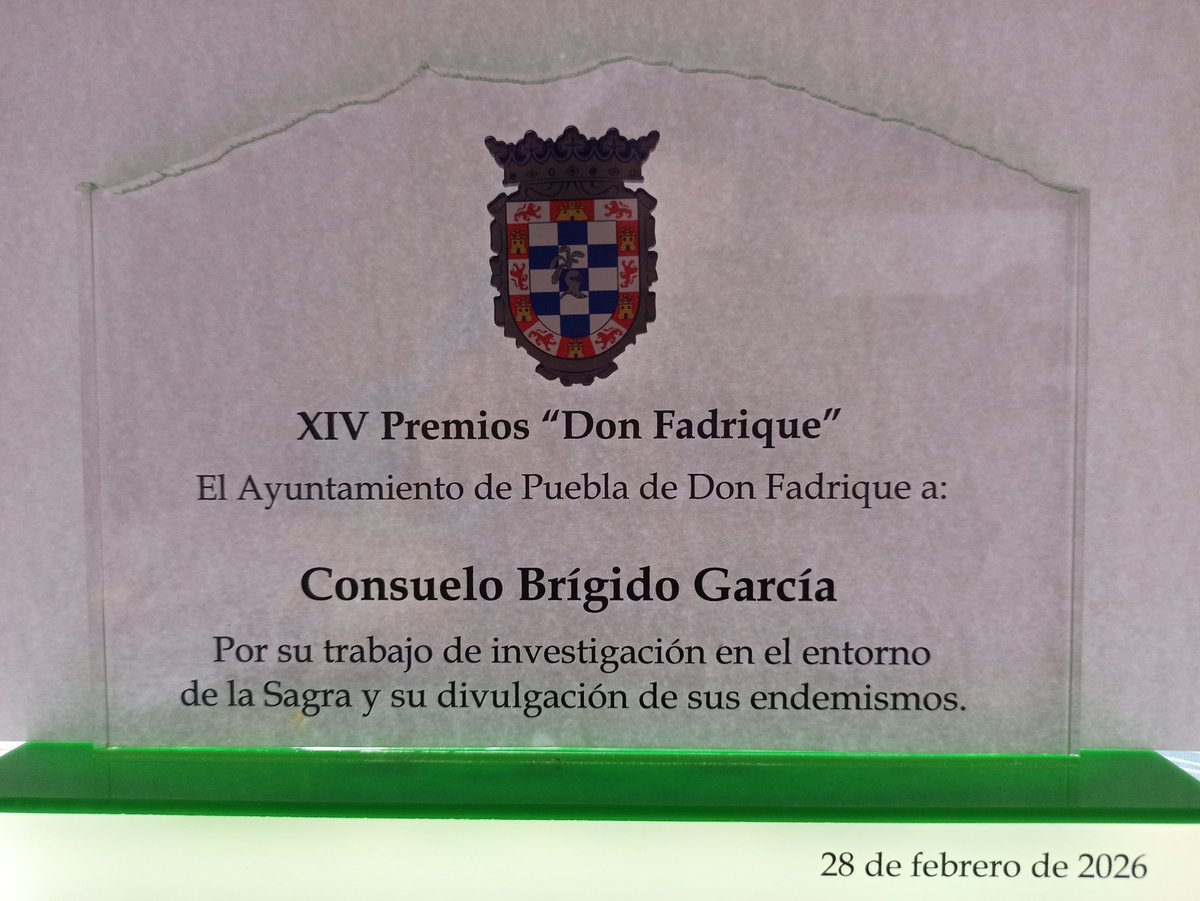 Consuelo Brígido tweet media