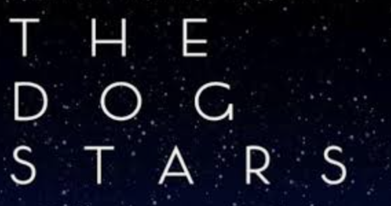 Jacob Elordi plans to continue working with critically acclaimed directors. His next film, 'The Dog Stars,' directed by Ridley Scott, is a bleak post-apocalyptic thriller in which characters are haunted by the loss of their former lives and loved ones.

Release date: August 28,