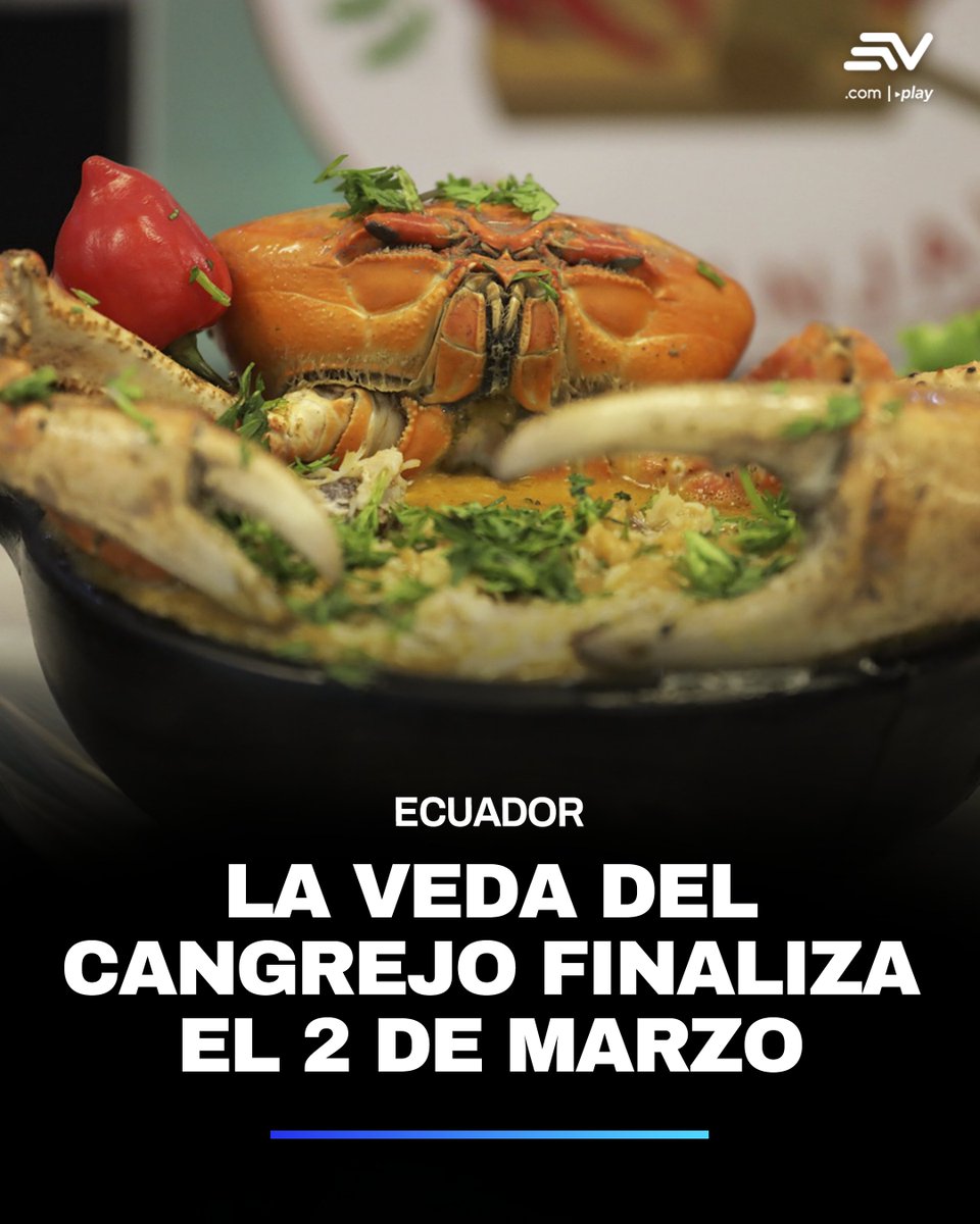 ¡La espera está por terminar! 😋🍴

El cangrejo vuelve a los restaurantes. 🦀 Muy pronto finaliza la veda del crustáceo en Ecuador. La medida regía desde el pasado 1 de febrero. ▶️ bit.ly/46ztY6a