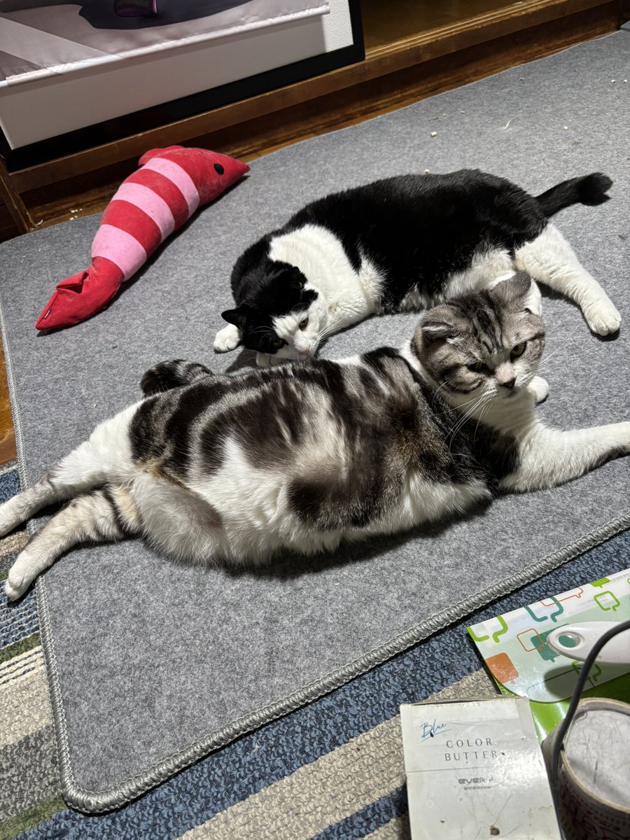 なんかしよう、なんかしようとしてこの時間 まーじで虚無虚無タイム