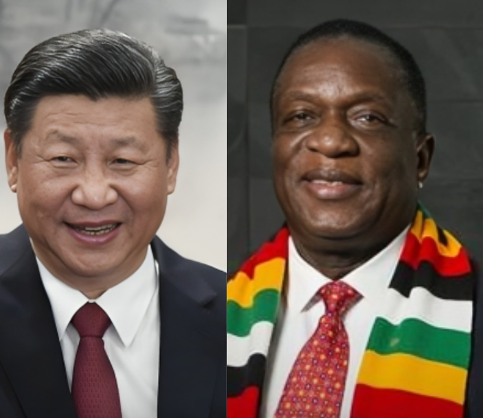 African Hub tweet media